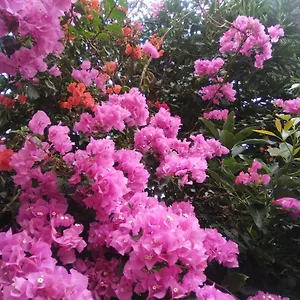 Сasa de vacaciones Mar De Flores, Vega de San Mateo