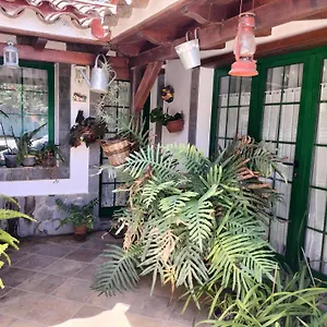 Сasa de vacaciones El Llanete, Vega de San Mateo