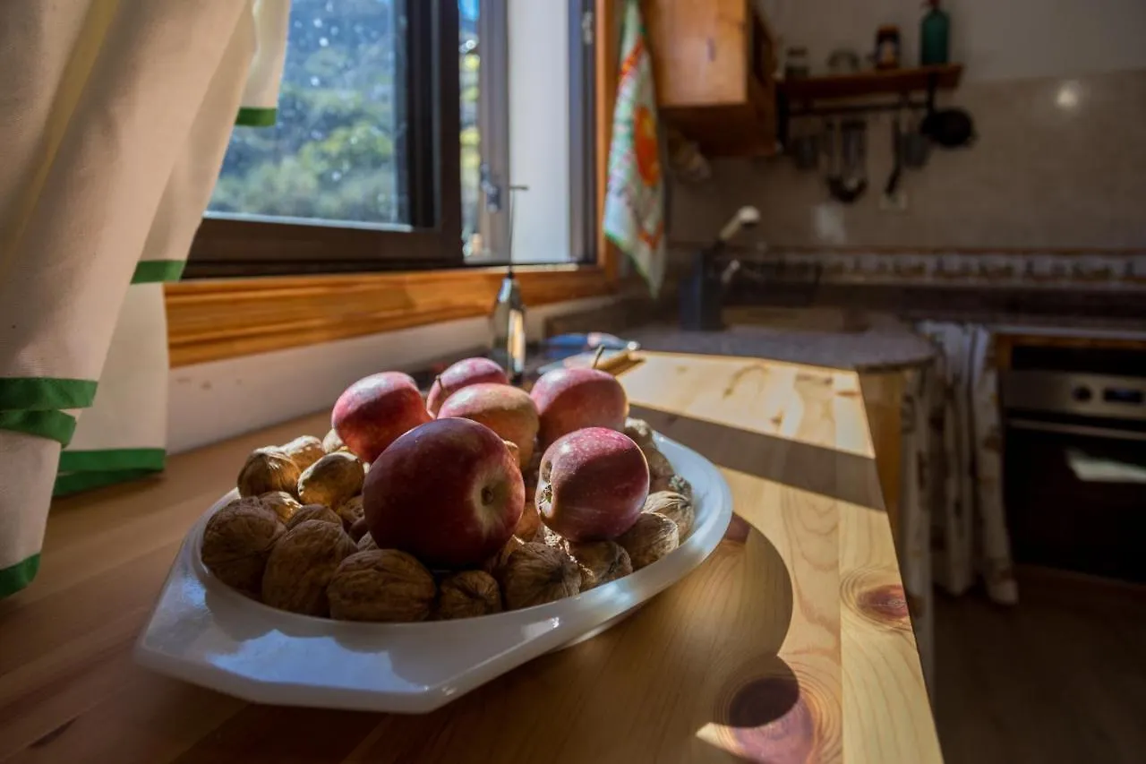 Holiday home Casa Abuela - House In The Countryside With Pool Villa Vega de San Mateo Spain